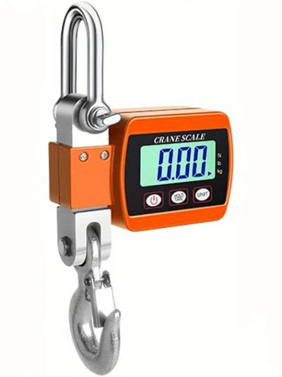Crane Scale 500kg