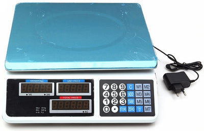 Electronic Digital Price Scale 30kg